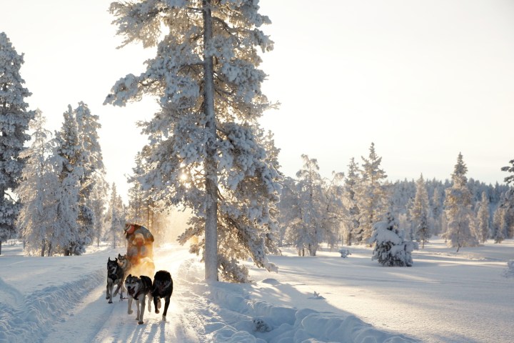 a group of people cross country skiing in the snow